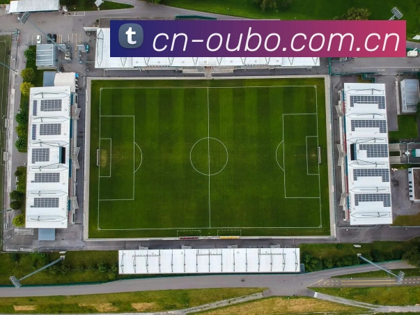 App Interface Preview